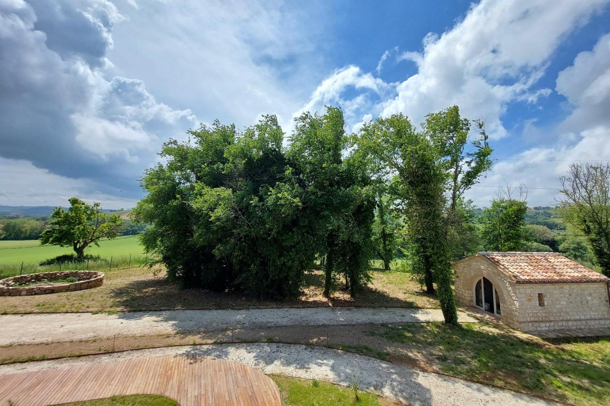 Apartment Biancarda Massignano