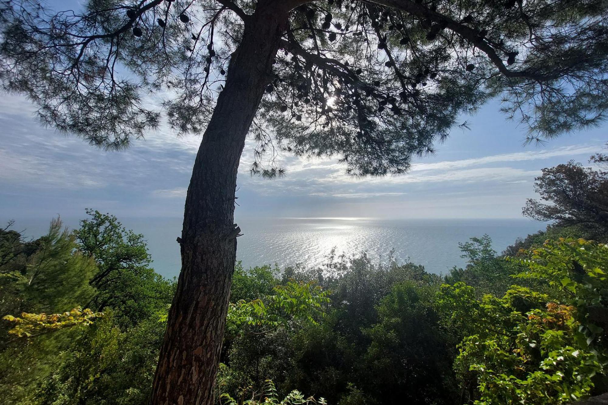 Apartment Biancarda *